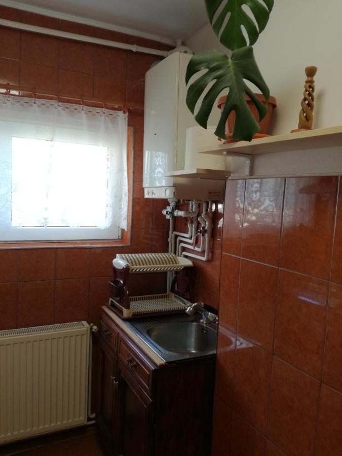 Sara Apartment Targu Mures