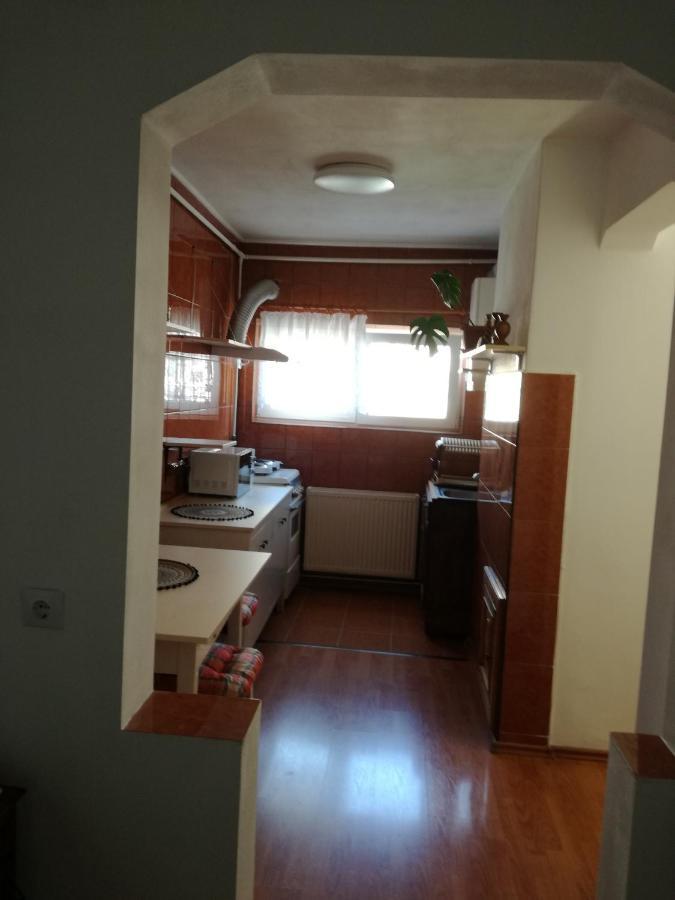 Apartment Sara Targu Mures